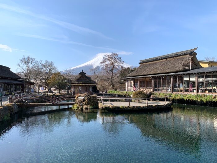 忍野八海と富士山の共演