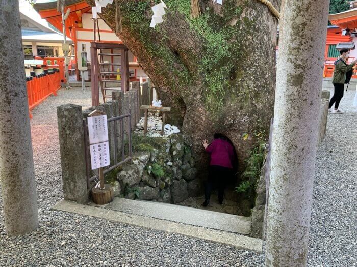 那智熊野大社の神木